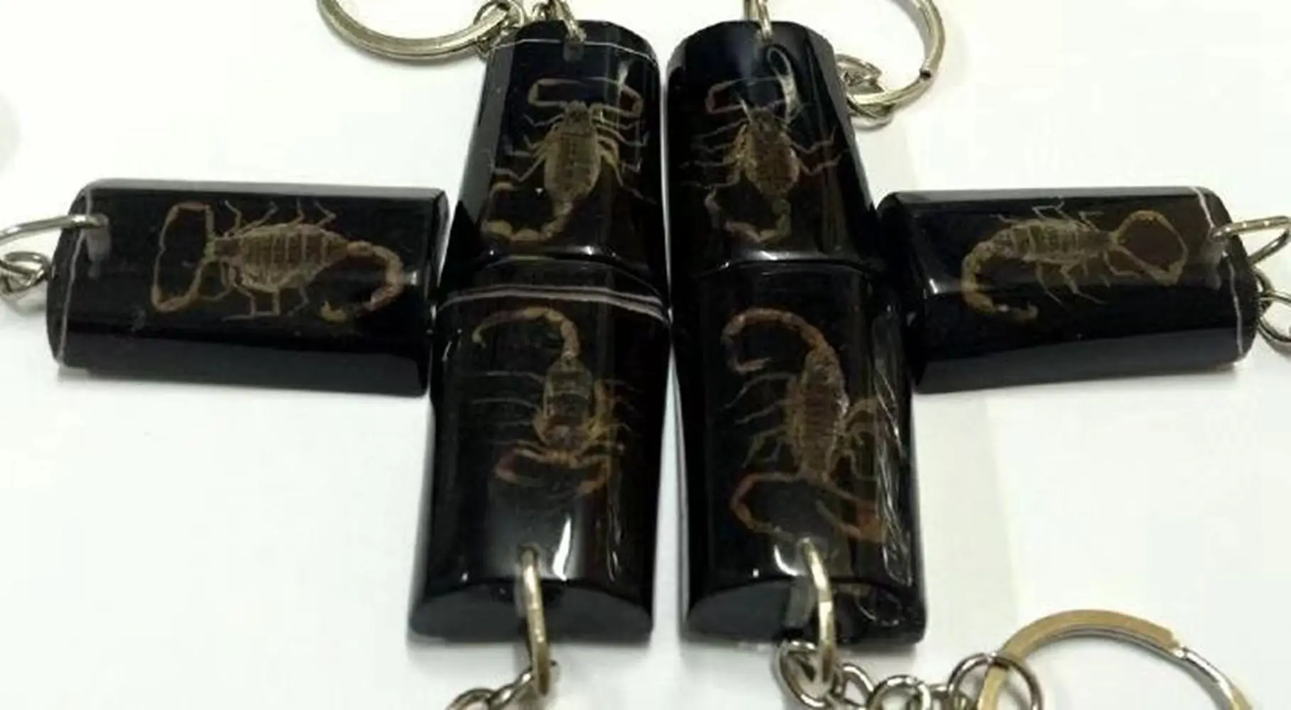 12 pcs Unique Keychain Real Scorpion Fashion Black Color Creative Resin  Jewelry