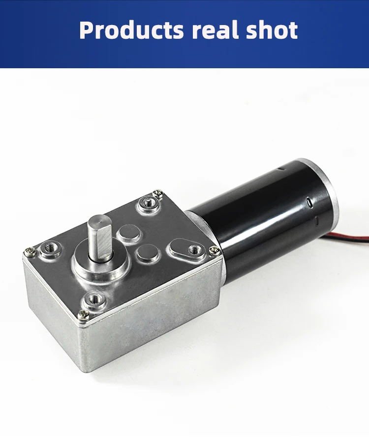 Gleichstrommotor mit hohem Drehmoment und Schneckengetriebe, 12 V/24 V, bidirektionaler Rundwellen-Vorwärts- und Rückwärts-Mikroschwindigkeitsregelmotor