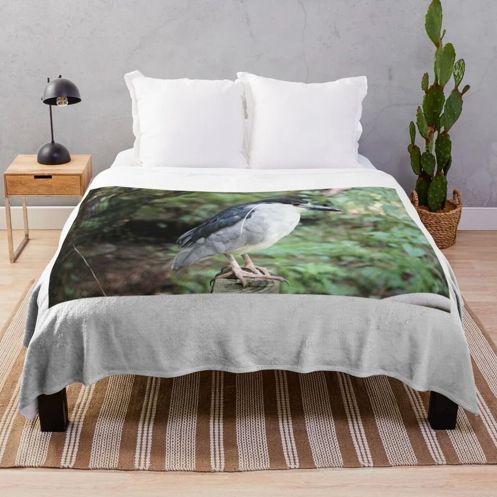 Focused Heron Throw Blanket Thins Stuffeds Blankets