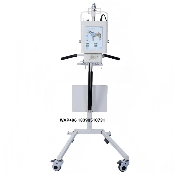 high-quality veterinary mobile X-ray machine, digital high-frequency pet X-ray diagnostic system (for animals)