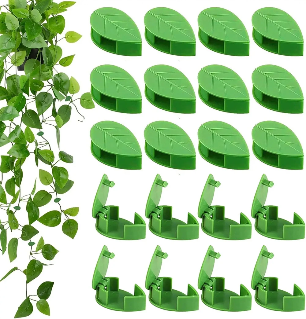 Invisible Plant Climbing Wall Fixture Clips Acrylic Sticker Self-Adhesive Hook Plant Fixer Vine Traction Holder Indoor Outdoor