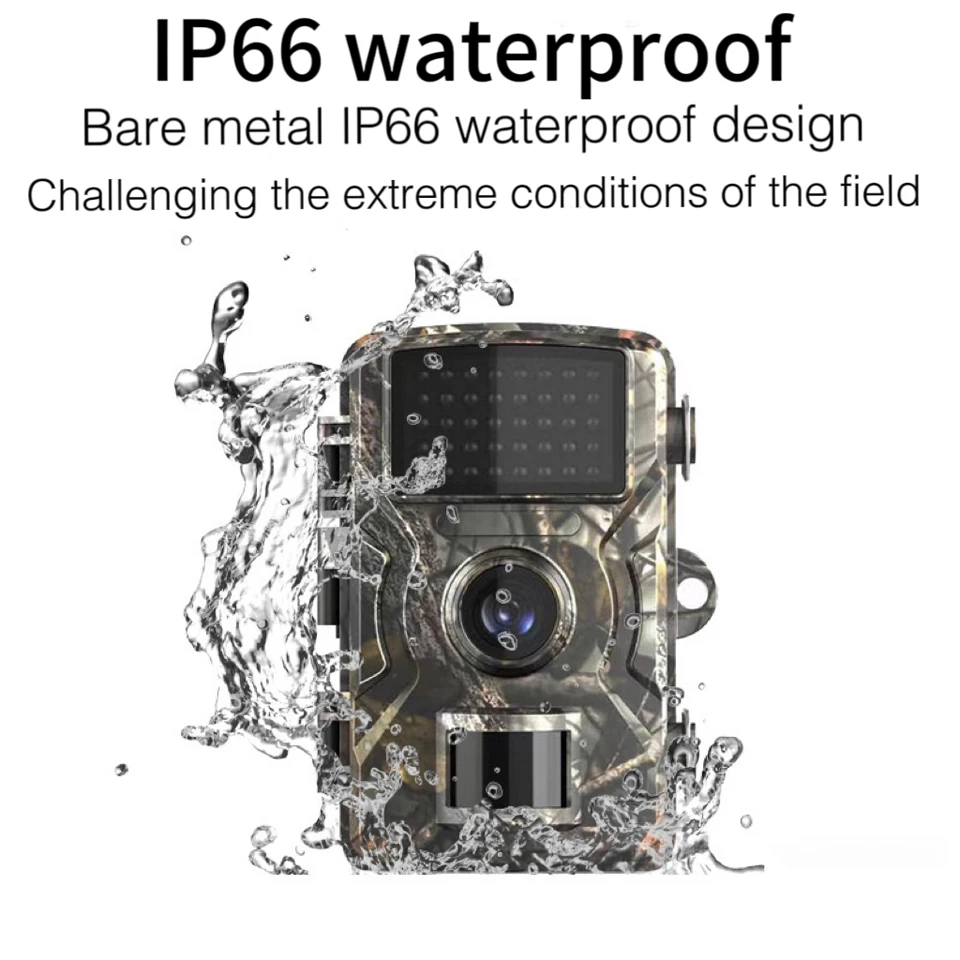 Thumbnail 4 - #2 New Wildlife Cameras Arrivals