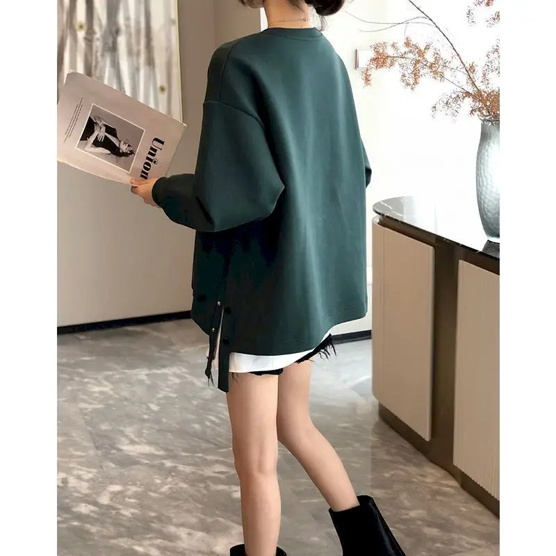 Design Sense Breasted Pullovers Women Loose Oversized Sweatshirts Autumn Winter Trend Casual Plush Thicken Pullover Y2k Clothes