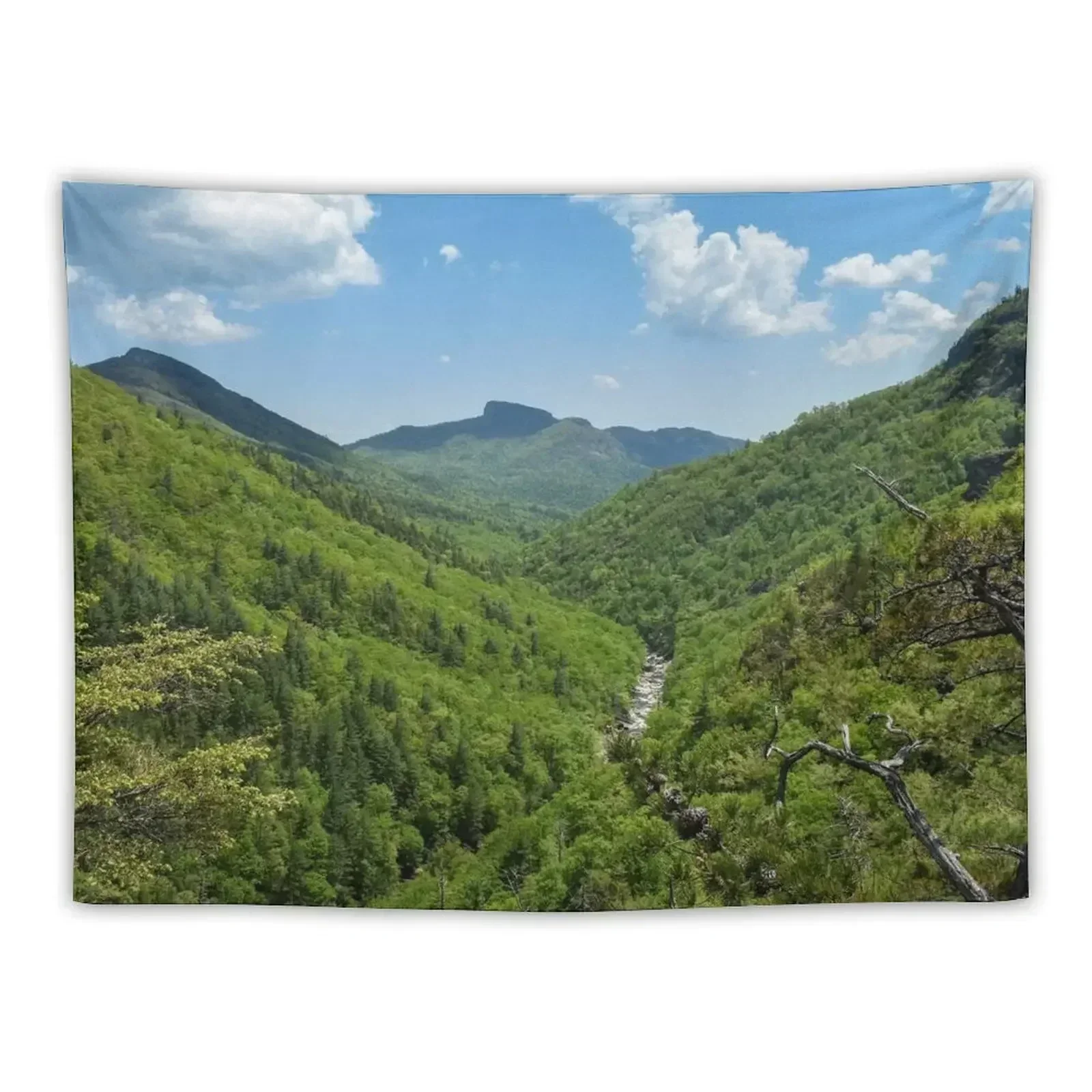 

Appalachian Mountain Valley View Tapestry Bathroom Decor Anime Decor Tapestry