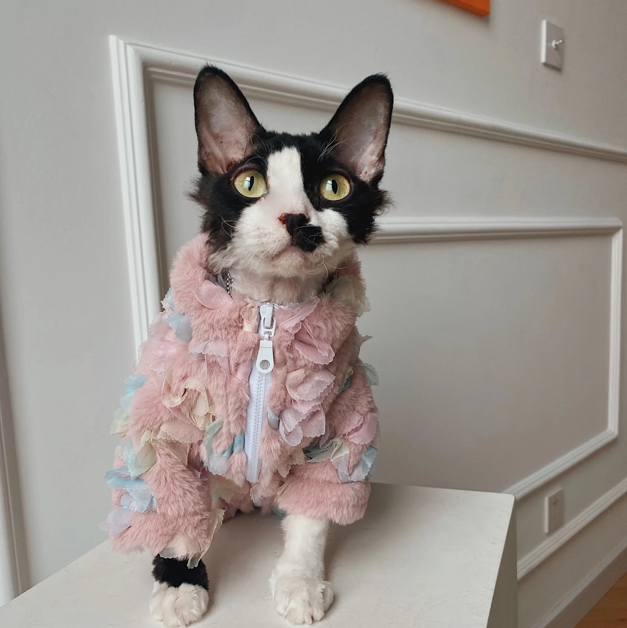 Luxury Floral Cat Clothing Winter Sweater for Sphynx Cat Warm Plush Loungewear for Kittens Fancy Long Sleeves Suit for Devon Rex