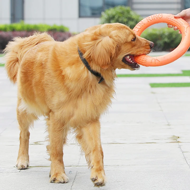 Thumbnail 4 - #66 Latest Rubber Dog Toys Offers