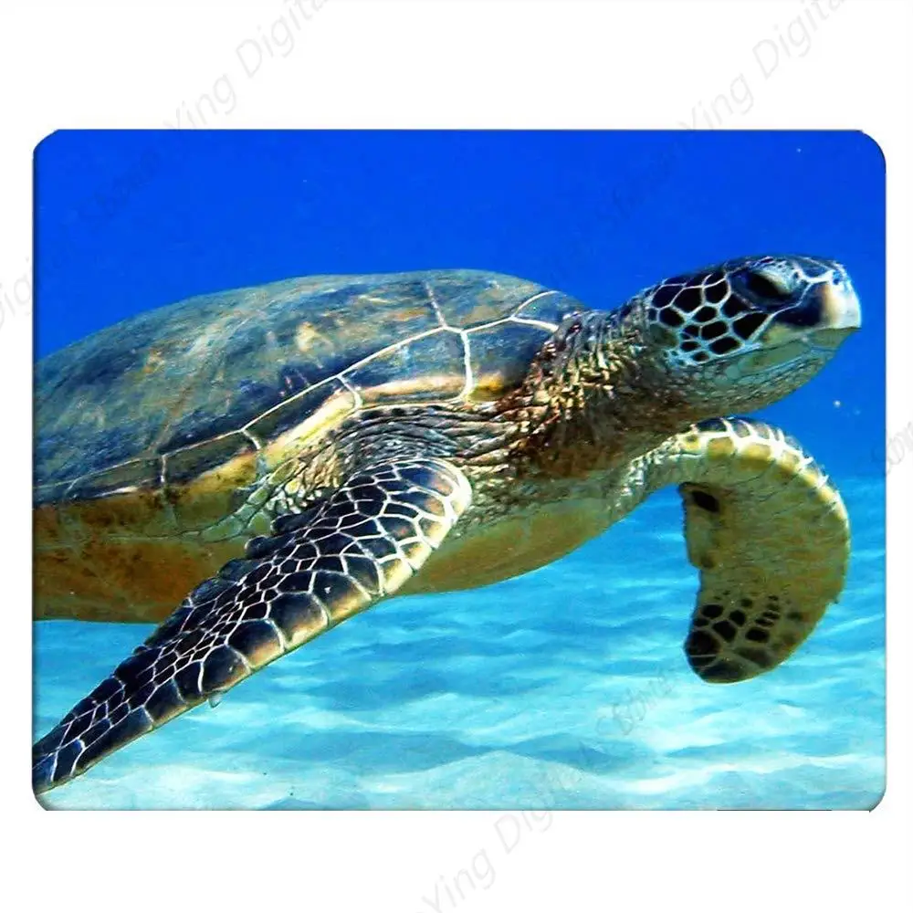 Underwater Creature Turtle Mouse Pad Computer Desk Decoration Laptop Office Anti Slip Rubber Mouse Pad 25*30cm