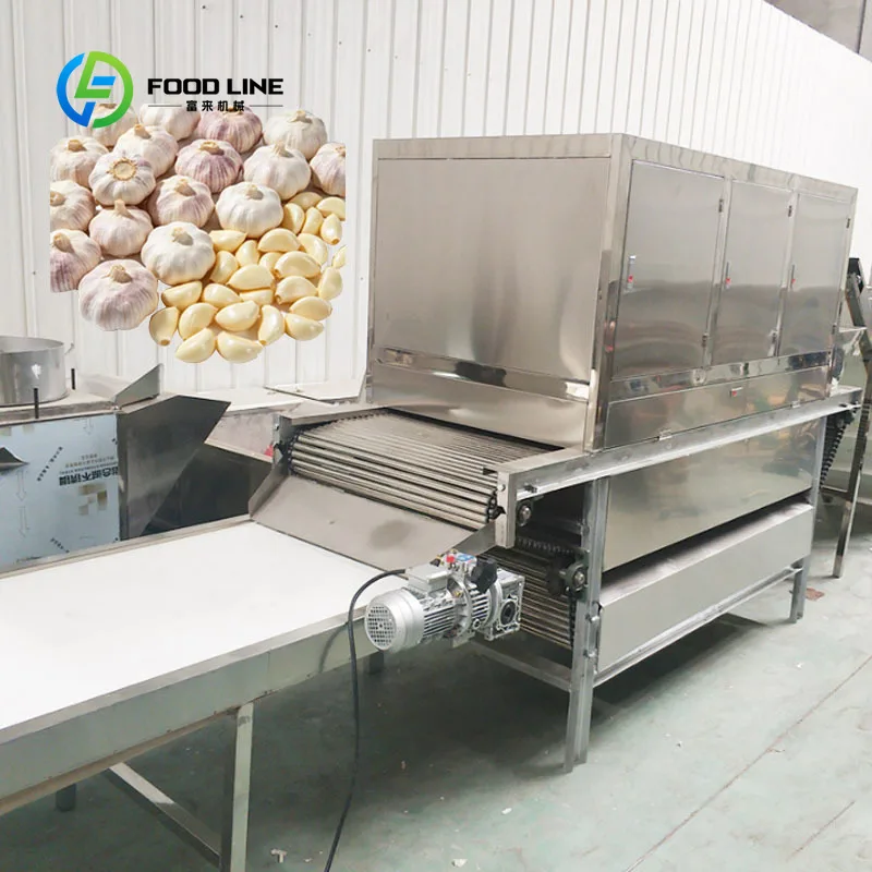 Root Vegetable Peeling Machine Chain Type Garlic Peeler Onion Peeler Customized Stainless Steel Industrial Use