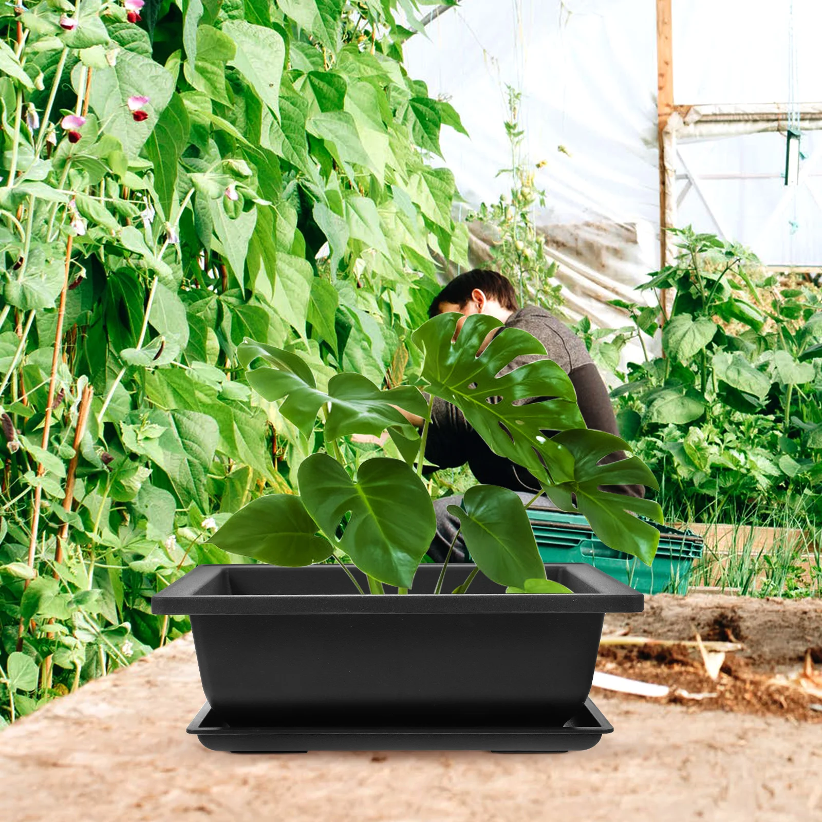 

Rectangular Flowerpot Set Plastic Bonsai Pots Small Tray Decorations Minimalist Indoor Outdoor Gardening Plant Containers
