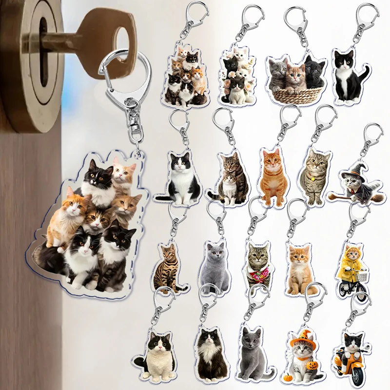 Funny Cat Key Chain Keychains Ring for Accessories Bag Pendant Keyring Jewelry Cute Animal Pet Llaveros Friends Gifts Cool Cats