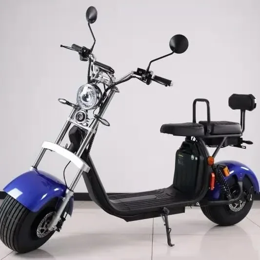 Electric Scooter EEC Approved Fat Tire E Bike 1500W 45km/h City Sport E Motorcycle