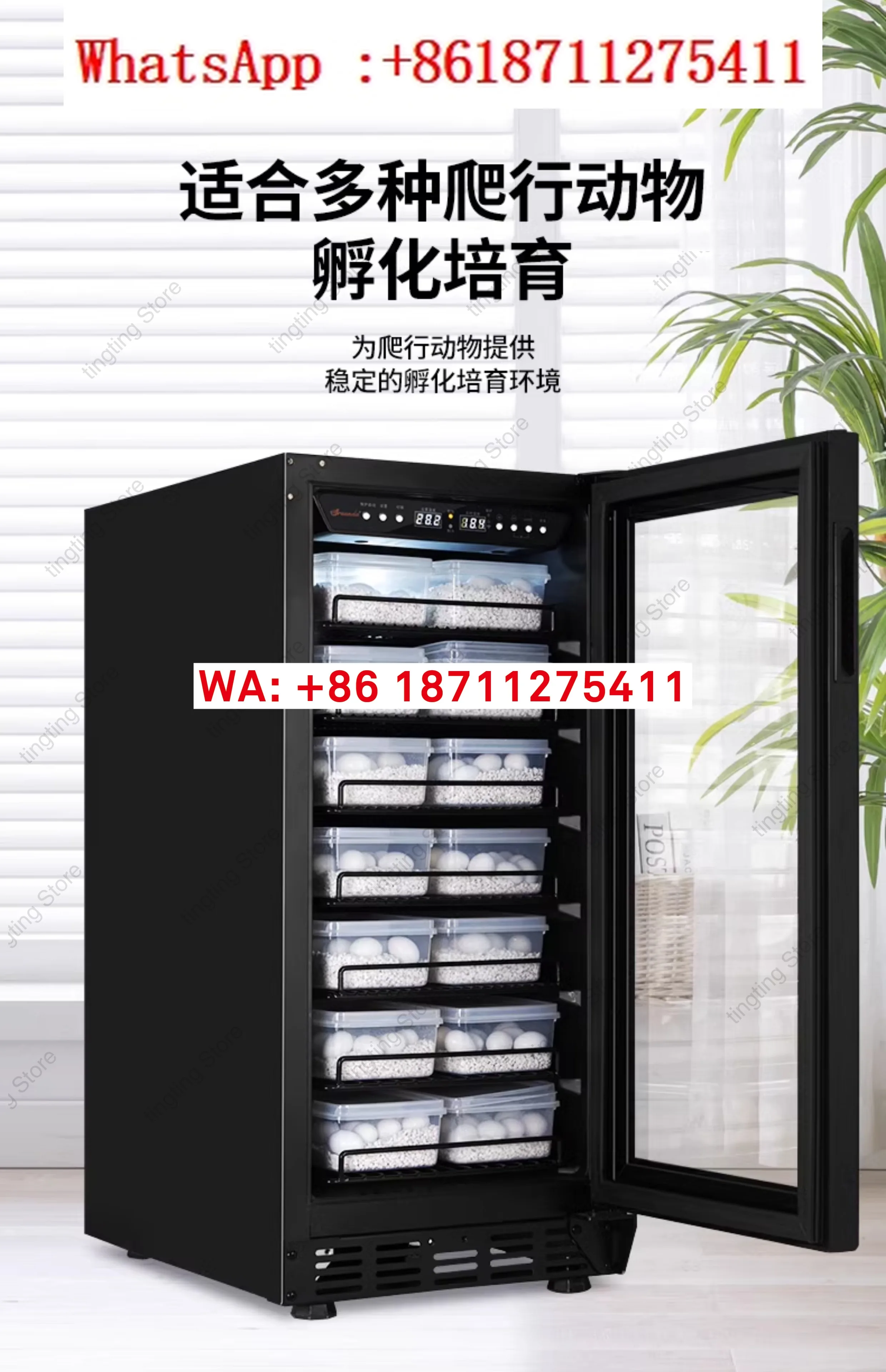 Hatcher remote control decimal point cooling and heating dual protection turtle crawling pet constant temperature incubator