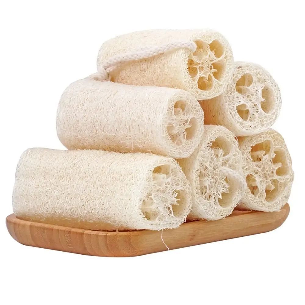 Petite brosse en luffa avec UL, éponge de bain écologique pour le corps, épurateur de cuisine, outil de nettoyage HOClean, pot expansif, bol