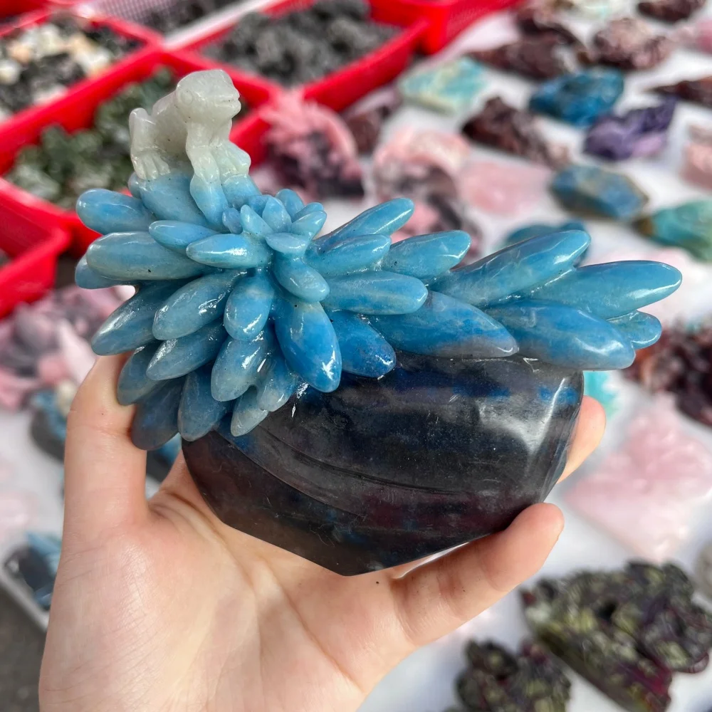 Natural Trolleite Quartz Succulent Flower Pot Frog Carving Crystal Figurine Healing Stone Desktop Ornament Home Decoration