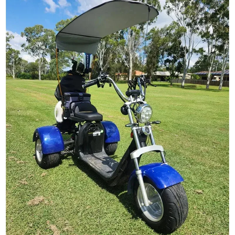 

Australia Market Electric Cart 2 Passengers High Quality By Max Customized Motor Lithium Battery Controller
