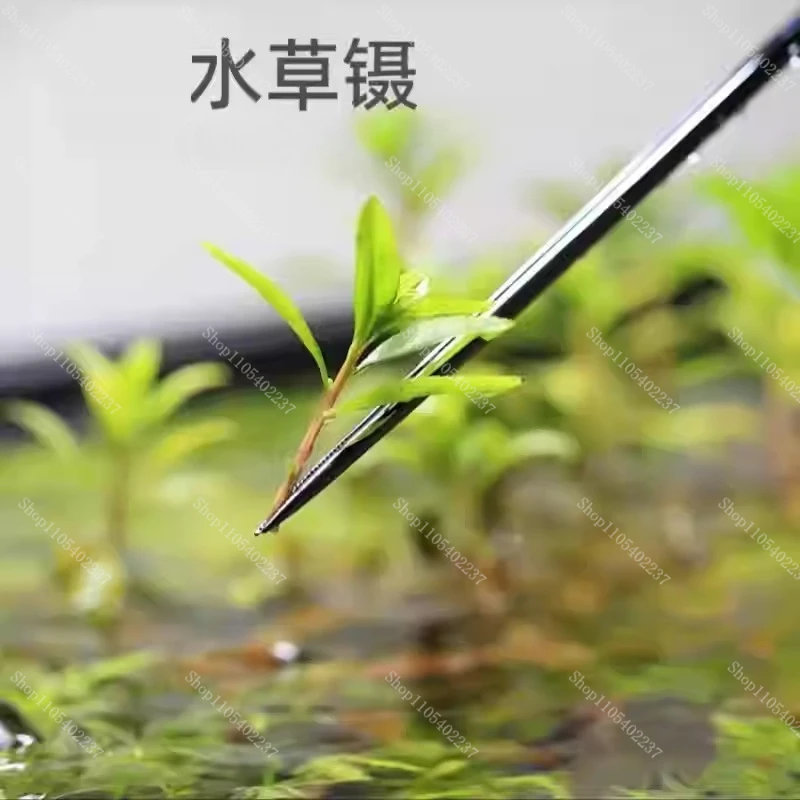 Stainless Steel Mirror Fish Tank Landscaping Tweezers 25cm 33cm Straight Curved Clip Aquatic Tool