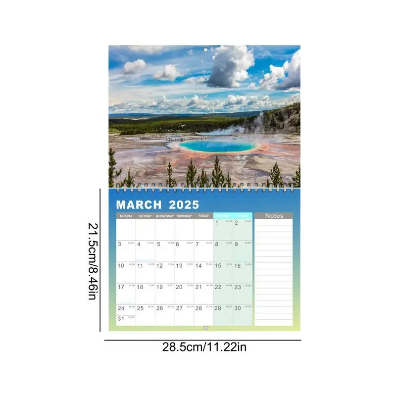 2025 Calendar January 2025 to December 2025 Calendar Aesthetic Calendar to Track for Appointments Art Home Wall Decoration