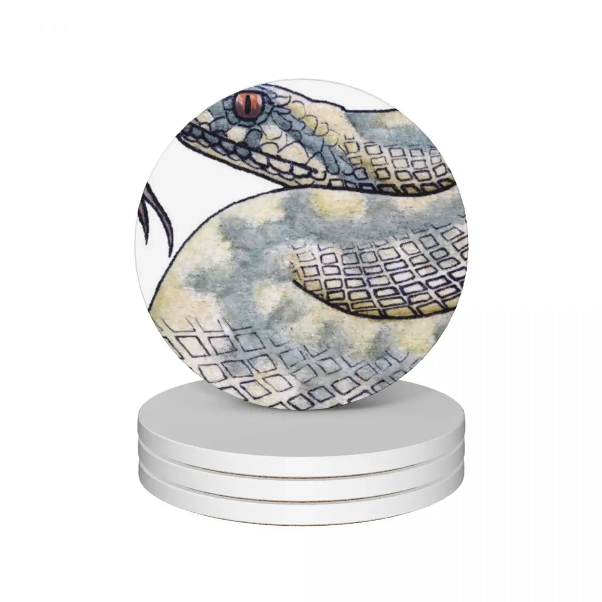 

Adder Ceramic Coasters (Set of 4) anti slip tile Coasters