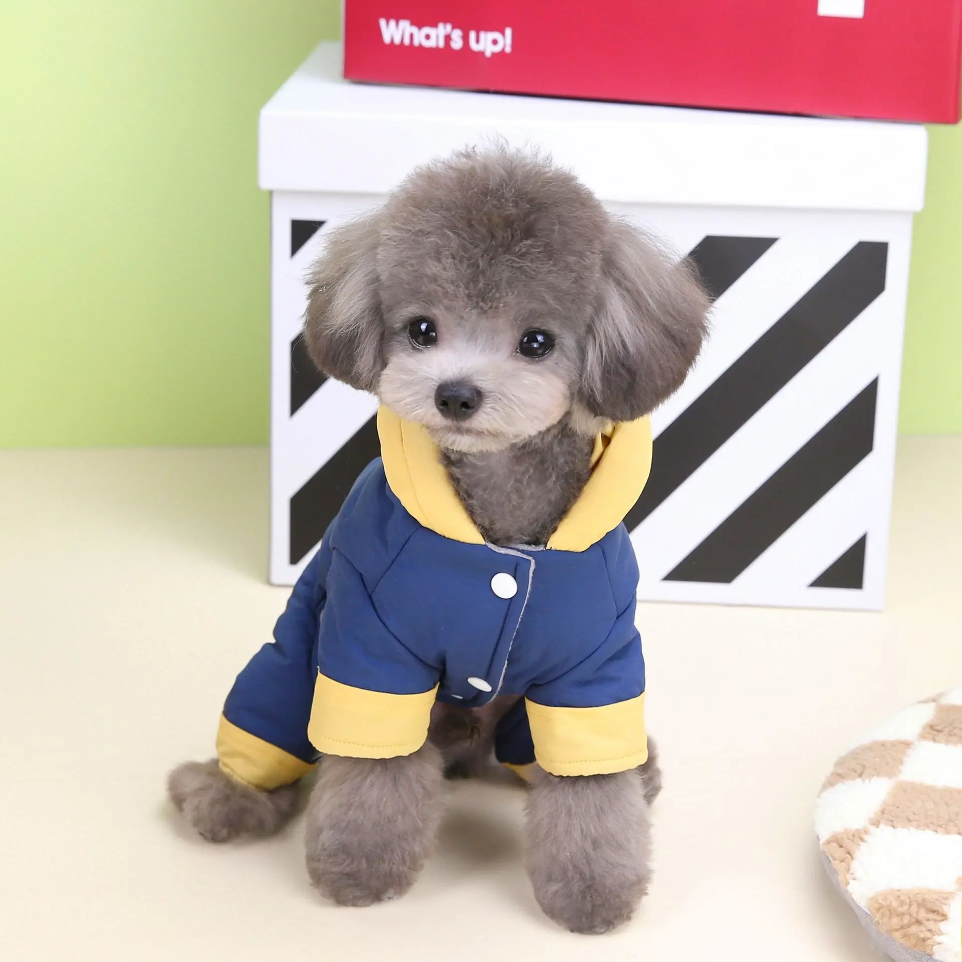 Pet clothing autumn and winter new warm four-legged cotton coat dog autumn and winter pet four-legged cotton coat