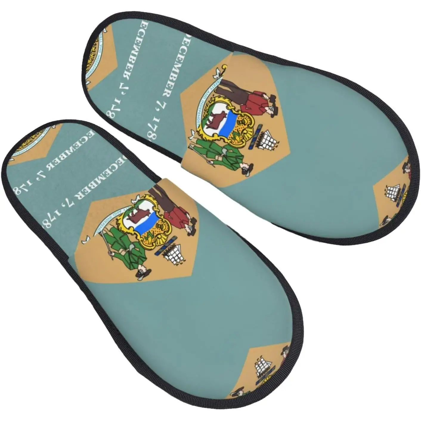 

Осенне-зимние нечеткие тапочки с принтом флага, удобная домашняя обувь, портативная обувь для путешествий в отеле, подарки для женщин и мужчин