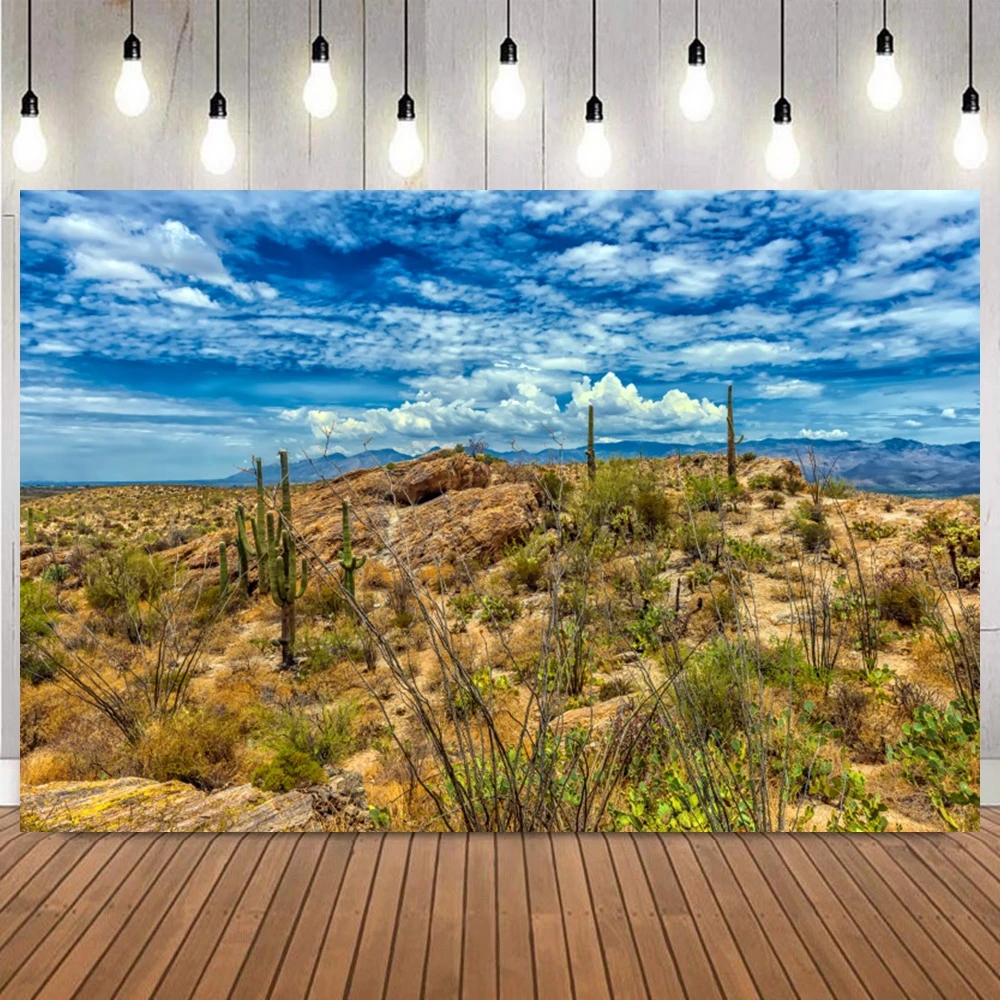 Desert Arid Region Cactus Rock Mountain Vegetation Scenery Photo Backdrop Portrait shooting Home Decor Photography Background