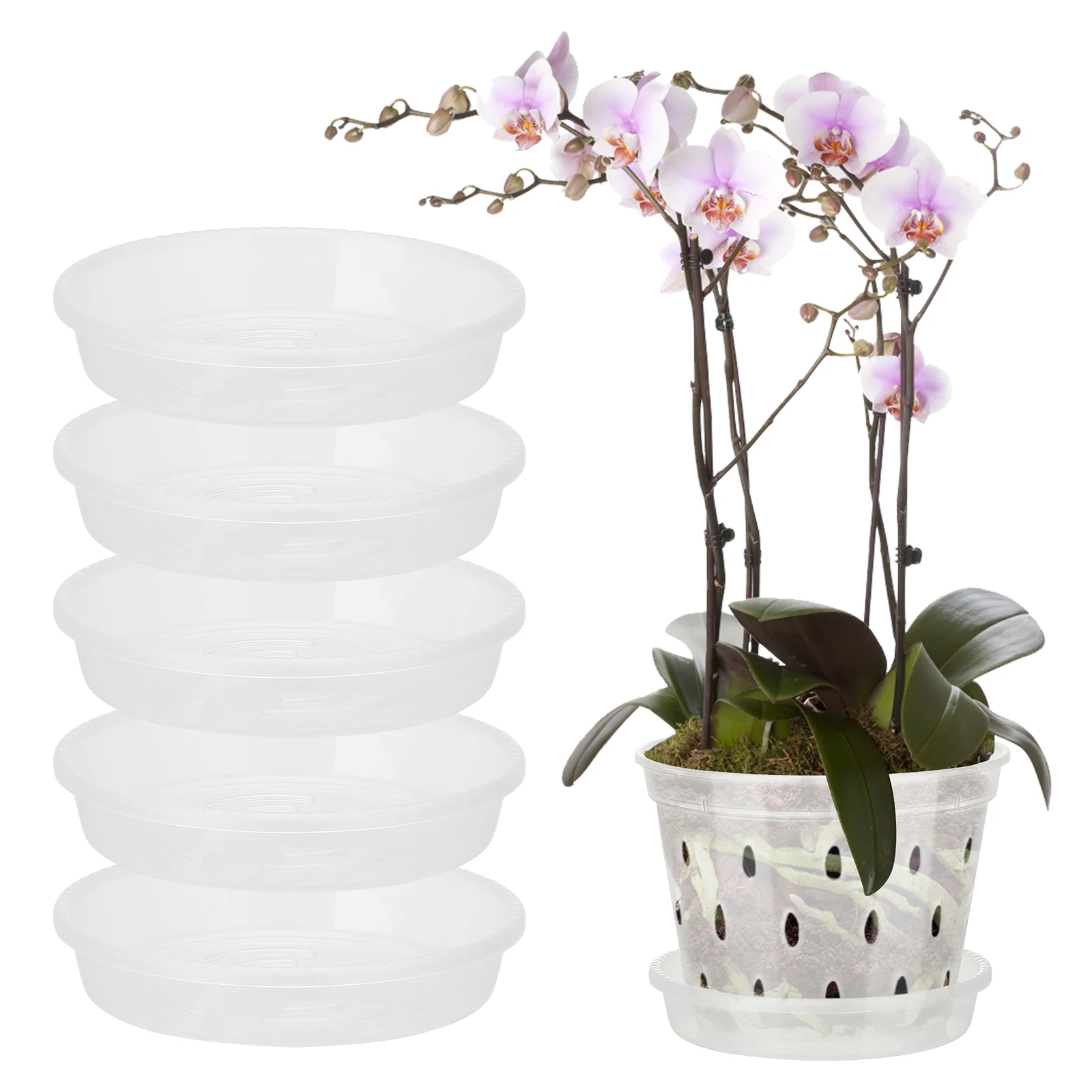 5Pcs Transparent Plastic Orchid Pots Tray With Stomata Root-controlled Planting Pot Home Garden Plants Supplies