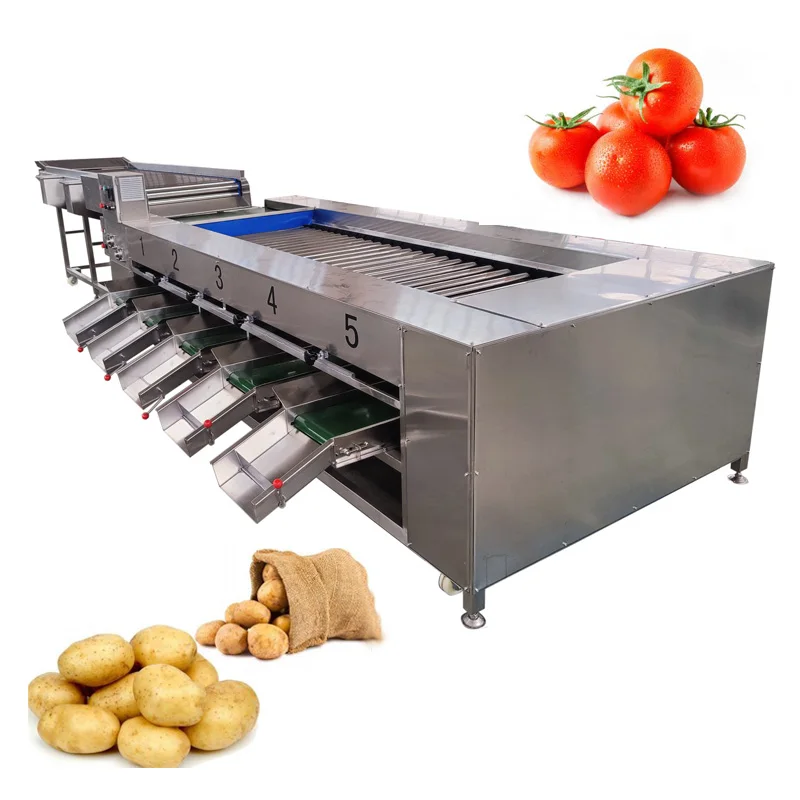 Automatic Fruit and Vegetable Sorting Potato Tomato Orange Avocado Onion Grading Washing Size Weighing Machine