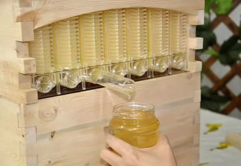 Auto Flow Beehive Box Fir Wood Wax Coated with Auto Honey Harvesting Kit Complete Set for Beekeeping Apiary Tool Heavy Duty