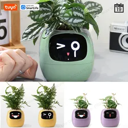 Tuya Gen1 Ivy Smart Planter,Endless Fun Over 49 Rich Expressions,7 smart sensors,AI Chips Make Raising Plants Easy and Fun