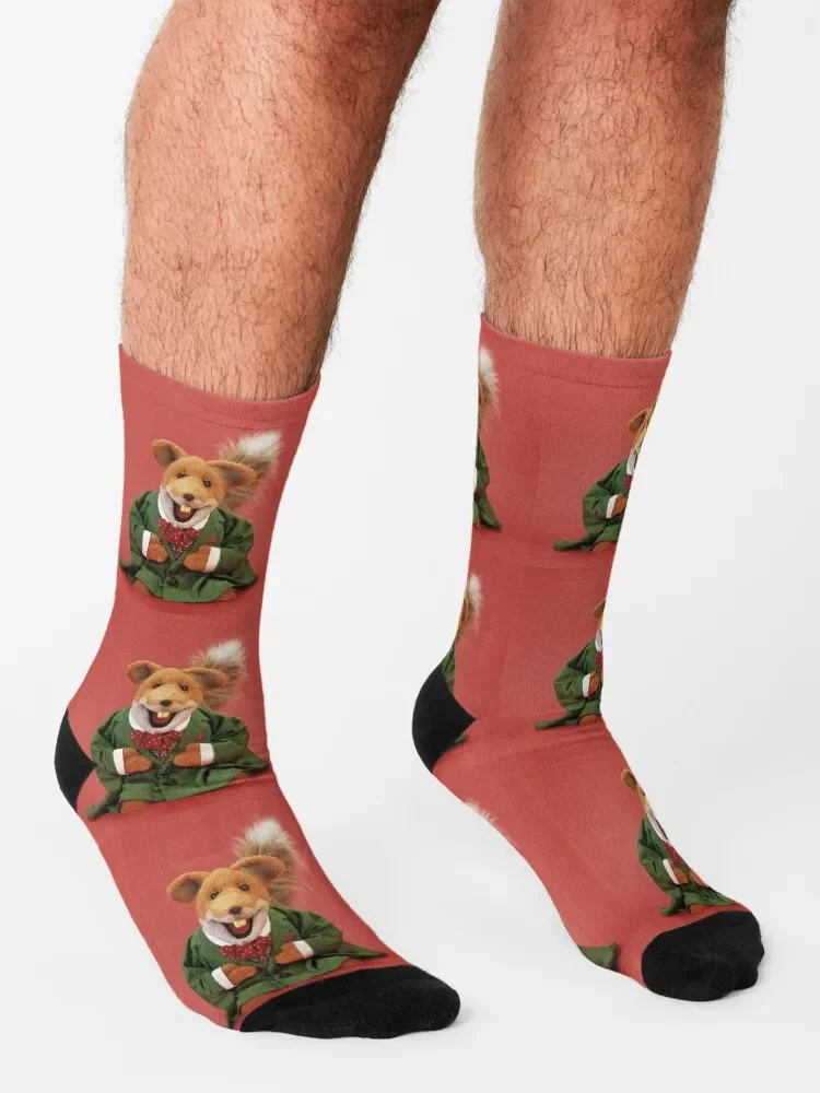 Chaussettes de sport Basil Brush pour hommes et femmes, chaussettes de course non ald