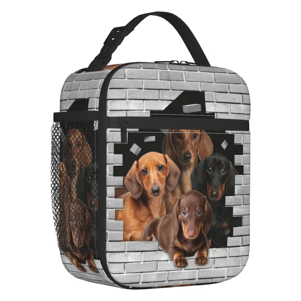 Dachshund Dog In Cement Brick Thermal Insulated Lunch Bag Badger Sausage Portable Lunch Tote Work School Travel Storage Food Box