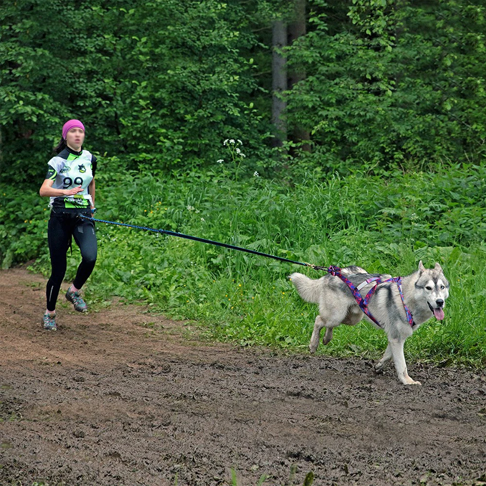 Big Dog Sledding Harness Reflective Pet Weight Pulling Sled Harness Mushing Back Harness For Medium Large Dogs Scootering