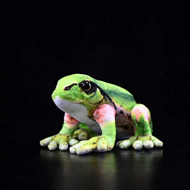 

Lifelike Japanese Tree Toad Plush Doll Fluffy Northeast Rain Frog Stuffed Animal Toy Kawaii Frog Doll Children Playmate Gifts