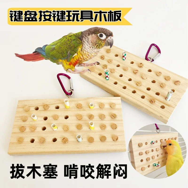 Parrot Simulates Keyboard, Chews Toys, Pulls Tintin Puzzle, Pulls Corks, Vents and Decompresses Computer Keyboard