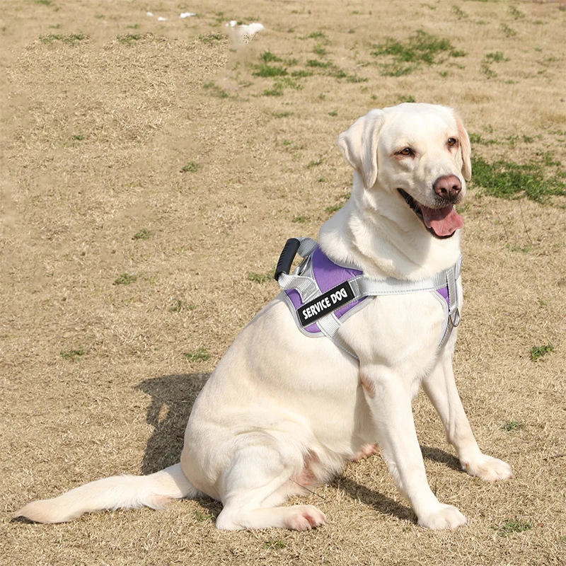 Personalized Name Dog Harness Service Dog Adjustable Labrador Dog Harness Reflective For Large Dogs Dog Walking Accessories