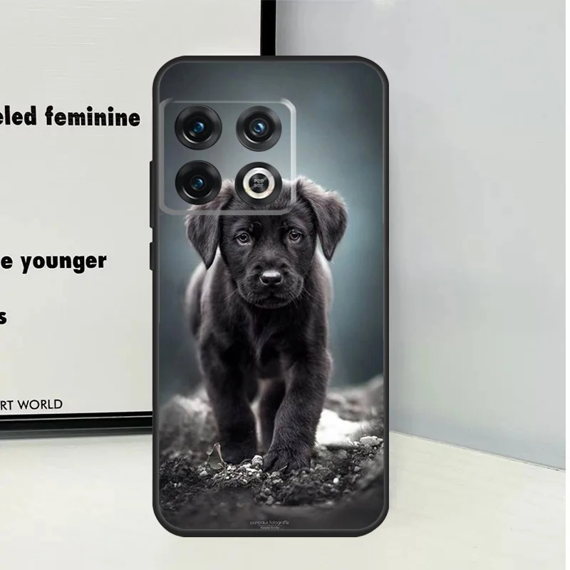 Black Labrador Dog Case For OnePlus Nord 3 2T N30 N20 N10 CE 2 Lite OnePlus 10T 12R 10R 8 9 10 Pro 11 12 Cover