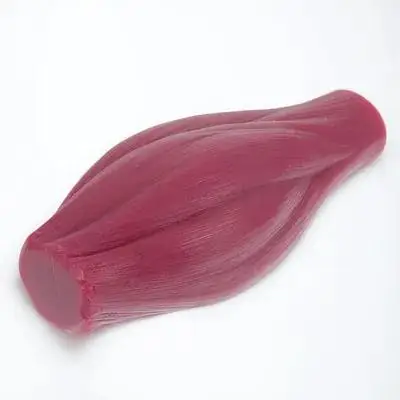 

Human Body Muscle Model 1 Lb Anatomical Teaching Aid for Fitness Enthusiasts Display Educational Use No Base