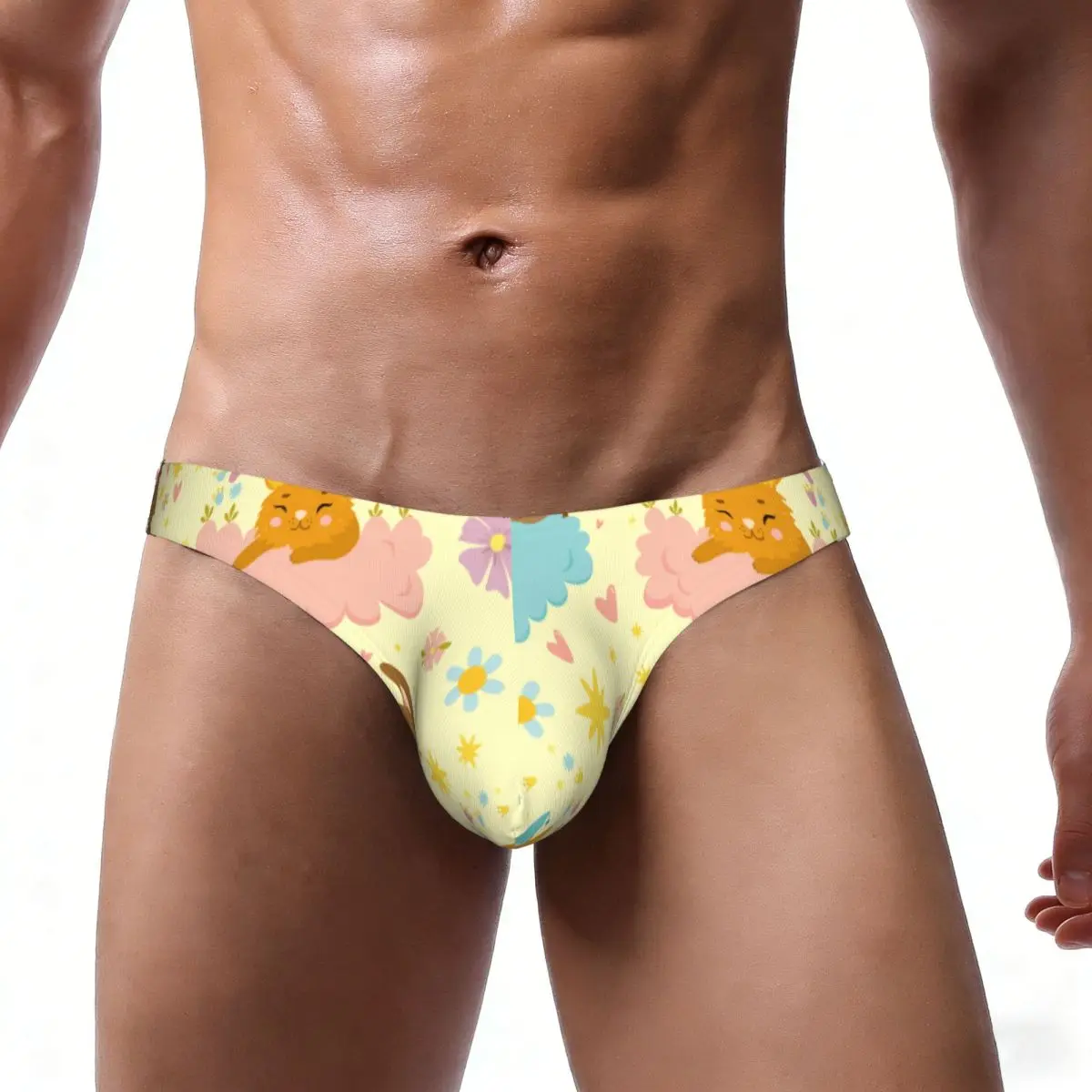 Sexy Man's Underwear Briefs Cats Clouds Magic Sky Sunset Rainbow Men Underpants