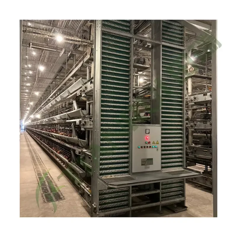 Automatic Hot Dip Galvanized Steel Battery Cage for Laying Hens 5000 Birds H Frame Multi-Tier Egg Layer Chicken Cage
