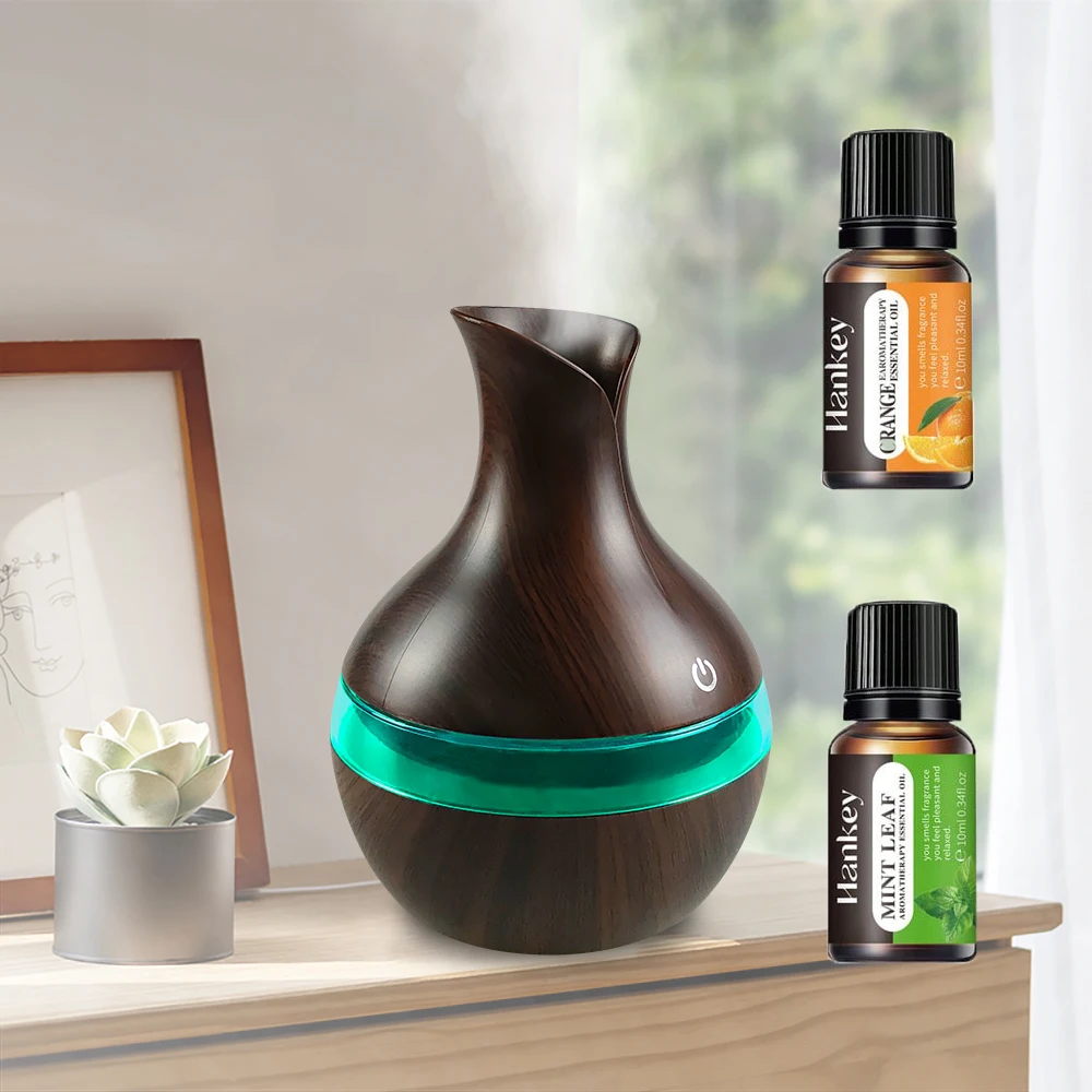 

New 2 in 1 Humidifier & Oil Diffuser USB Powered for Home, Office, Yoga Includes 2 Essential Oils