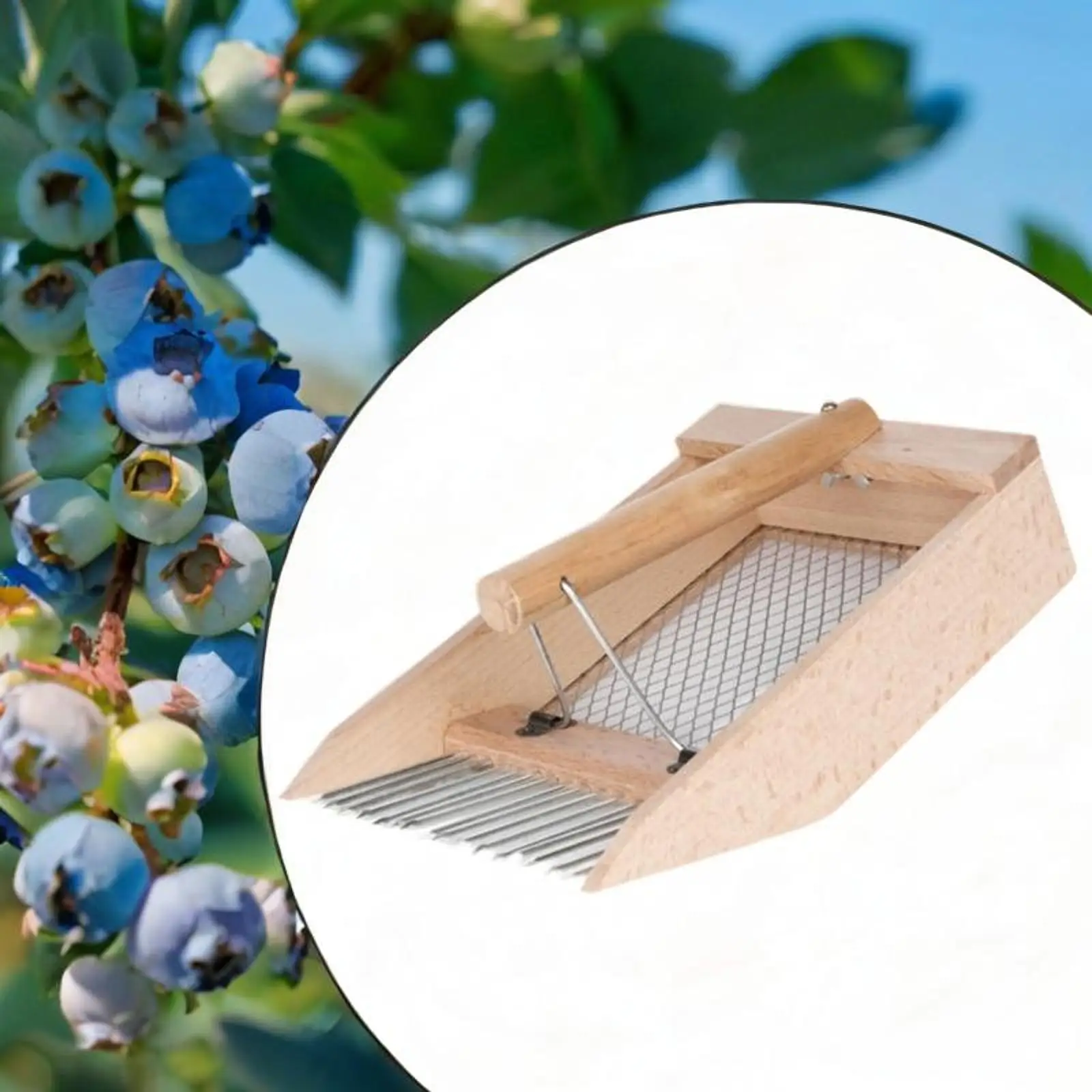 

Berry Picker Rake,Blueberry Picker Scoop Harvesting Tool Garden Picking Tool Fruit Collecting for Farm, Outdoor,Lingonberries