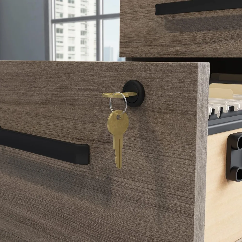 File mobile, L: 15,55'' x L: 19,45'' x A: 28,43'', Finitura Hudson Elm