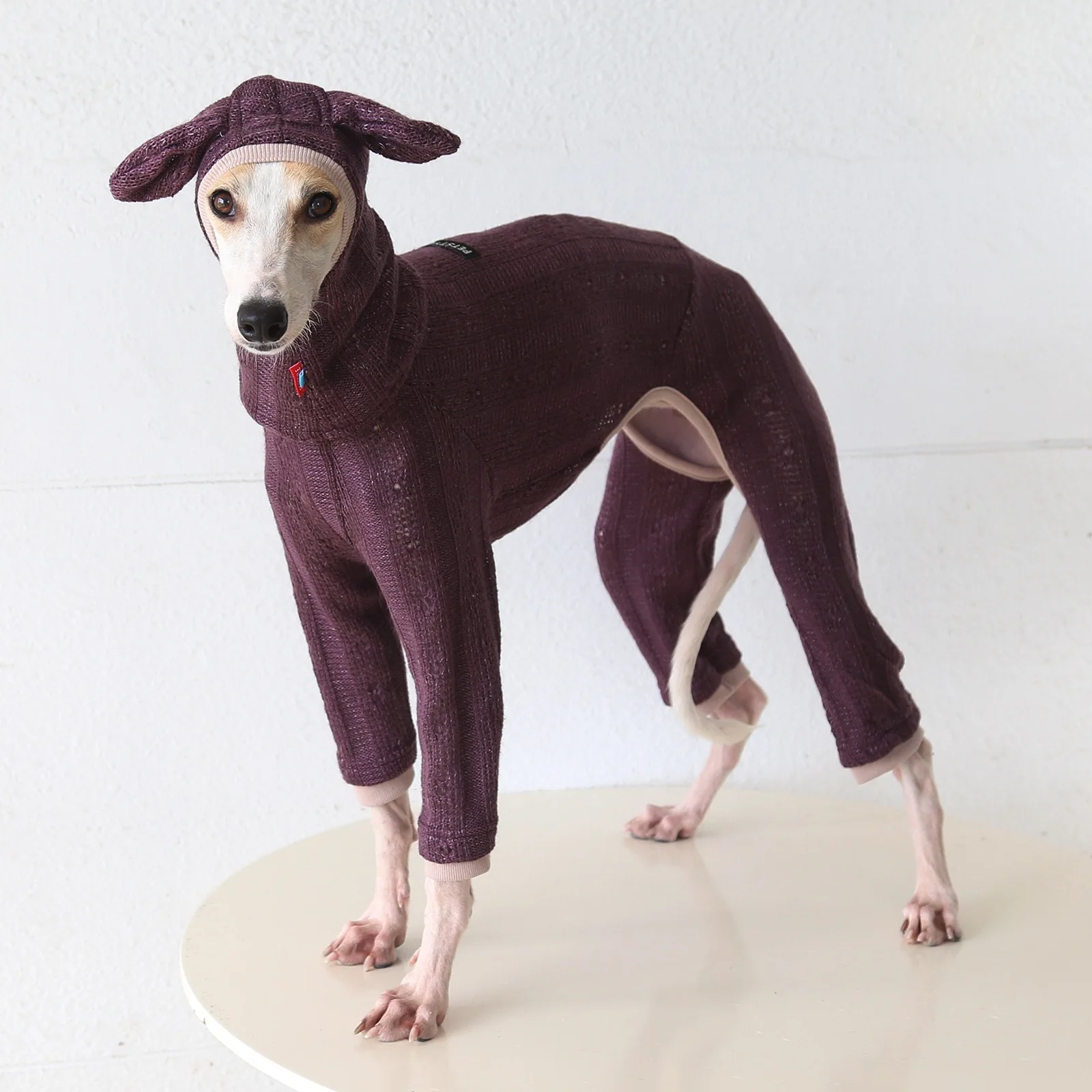 Lieflijke, warme trui met hoge hals en capuchon, met vier poten, voor kleine greyhounds, geschikt voor lente en herfst, en voor kleine tot middelgrote whippet-honden.