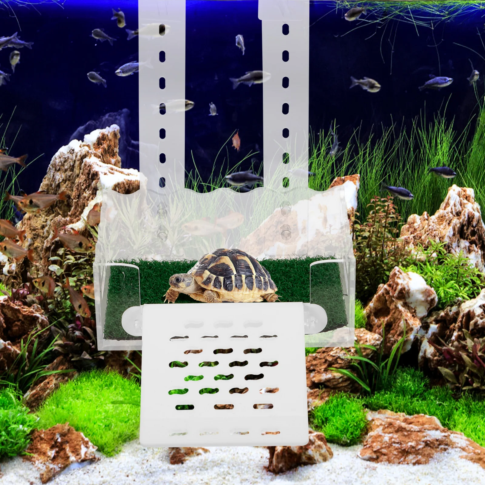 Acrylic Turtle Platform Small Size Basking Rack Transparent Design Terrarium Decor Accessories Household Use Pet Supplies