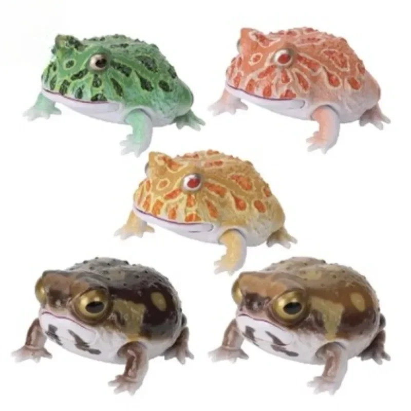 

Japanese Gacha Scale Model Biological Simulation Cognitive Model Horned Frog Rain Frog Action Figure Toys Diversity Of LifeNew