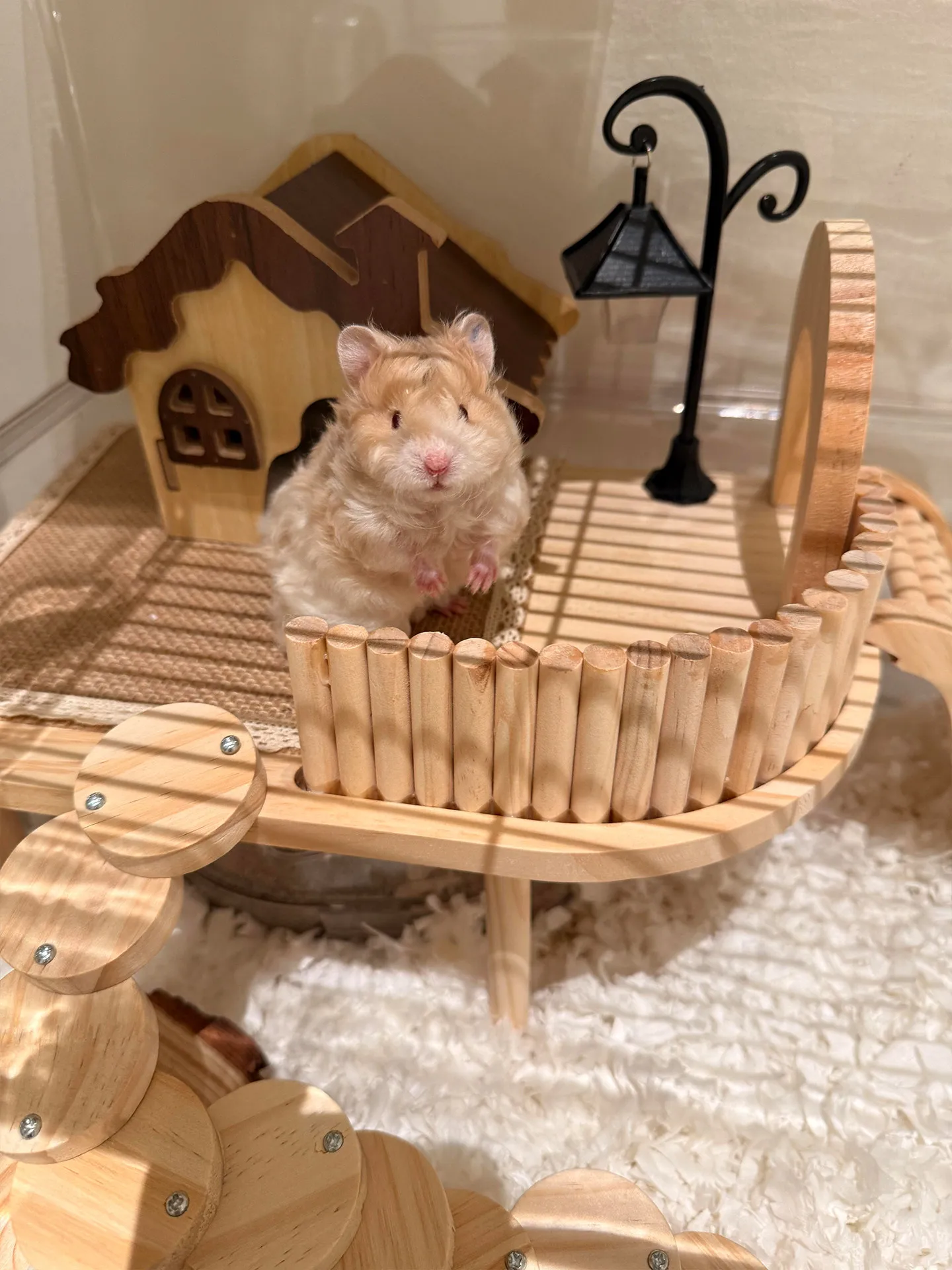 Hamster Nest Golden Bear Avoidance Log Cabin Four Seasons Universal Ladder Solid Wood Landscaping Platform Ornament