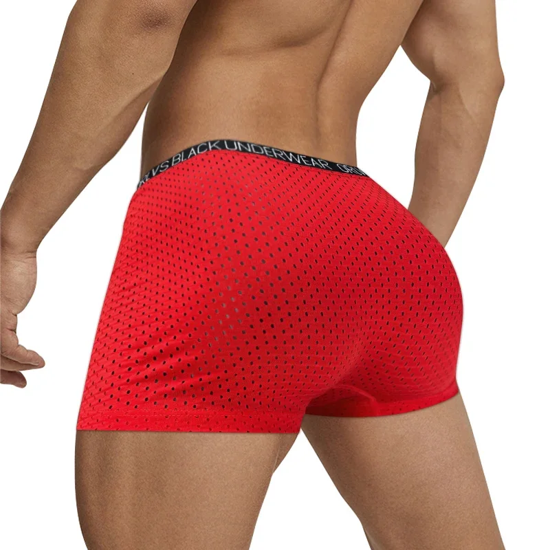 Sexy Men Boxer Mesh Underwear Men's Panties  Man Underpants Slip Underpanties Shorts Male Boxers Lingerie Breathable Boxershorts