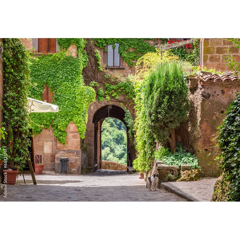 Art Cloth Background European Landscape Famous Scenic Spots Street  Night Scene Photography Background Props  OZ-01