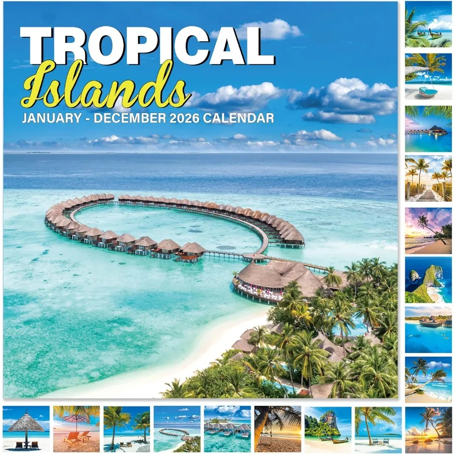 

2026 Calendar - 2026 Wall Calendar 12 Months from JAN.2026 to DEC. 2026 12" x 24" Open 12" x 12" (Closed) with Large Daily Bloc