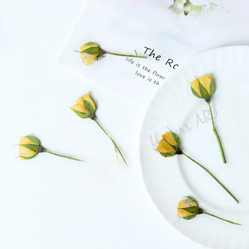 Pressed rose Bud flower core dry flower DIY plant photo frame handmade Epoxy aromatherapy bookmark drip glue phone case,12pcs